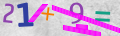 user captcha